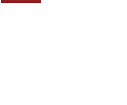 logo-bravo